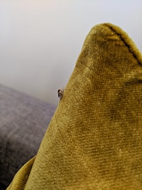 A close-up view of a small insect, possibly a mosquito, resting on the corner of a mustard-colored fabric cushion. The texture of the cushion is visible, with a grainy and slightly fuzzy surface. In the background, there is a soft gray fabric, possibly another cushion or a piece of furniture, against a plain light-colored wall.