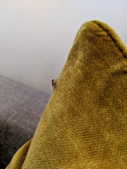 A close-up view of a small insect, possibly a mosquito, resting on the corner of a mustard-colored fabric cushion. The texture of the cushion is visible, with a grainy and slightly fuzzy surface. In the background, there is a soft gray fabric, possibly another cushion or a piece of furniture, against a plain light-colored wall.