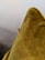 A close-up view of a small insect, possibly a mosquito, resting on the corner of a mustard-colored fabric cushion. The texture of the cushion is visible, with a grainy and slightly fuzzy surface. In the background, there is a soft gray fabric, possibly another cushion or a piece of furniture, against a plain light-colored wall.