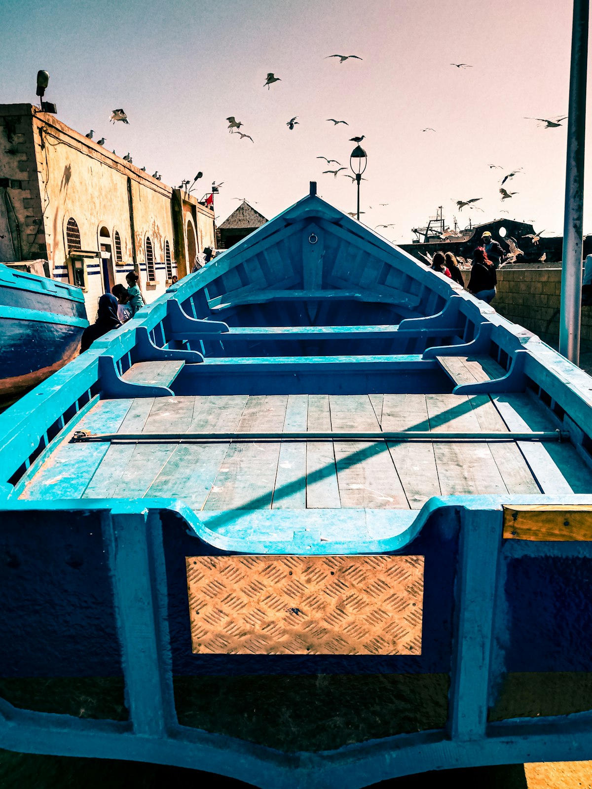 October Essaouira port with blue fishing boats and seagulls in autumn light