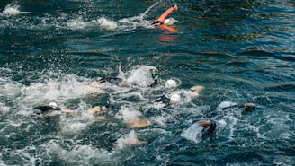 people swimming during day