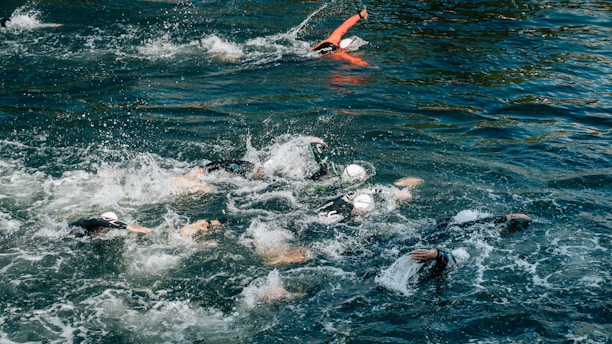 people swimming during day
