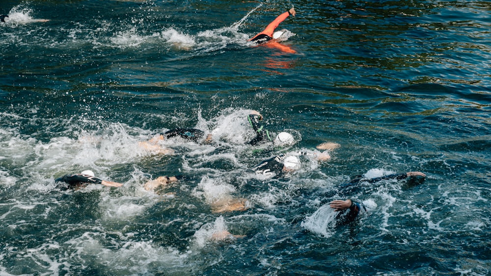 people swimming during day