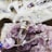 A collection of amethyst crystals and a glass vial pendant with silver accents are displayed on top of the crystals. There is a delicate chain with purple and blue beads, contributing to the intricate arrangement. In the background, there is a slightly blurred reflective surface with additional crystal pendants.