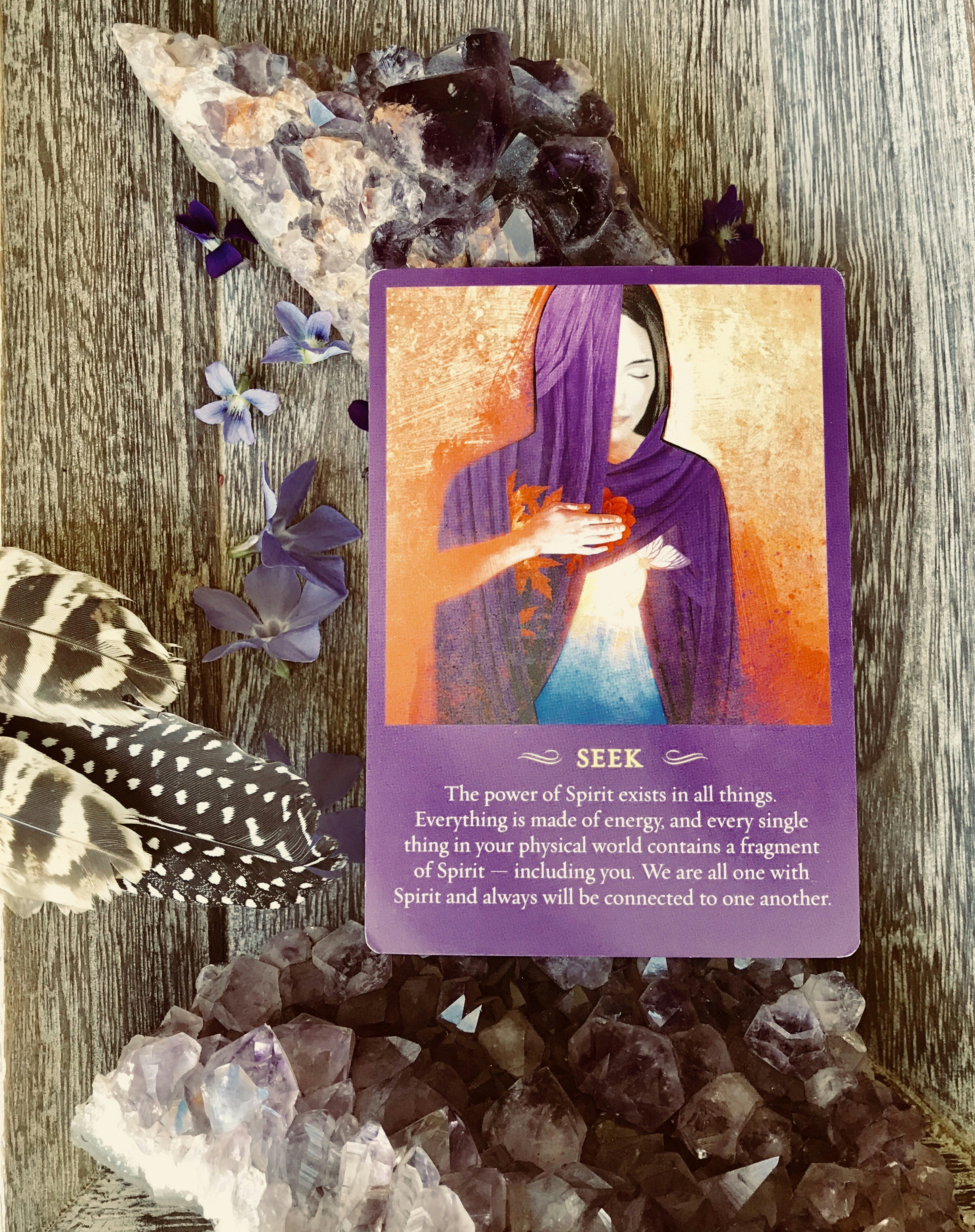 photo 1572207918856 bec5e84c3c02?ixlib=rb 4.0