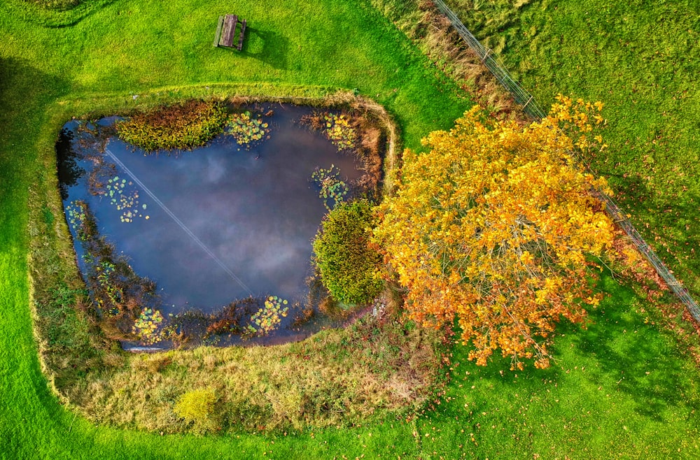 aerial photography of a square-shaped fish pond