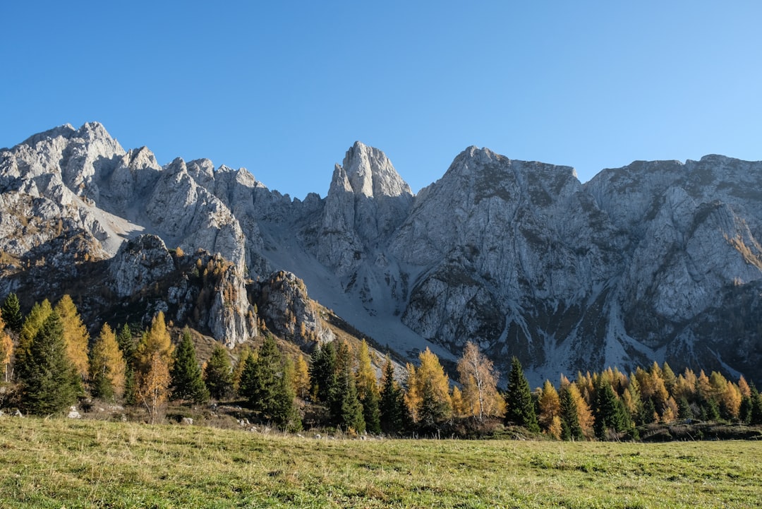 green field viewing mountain during daytime