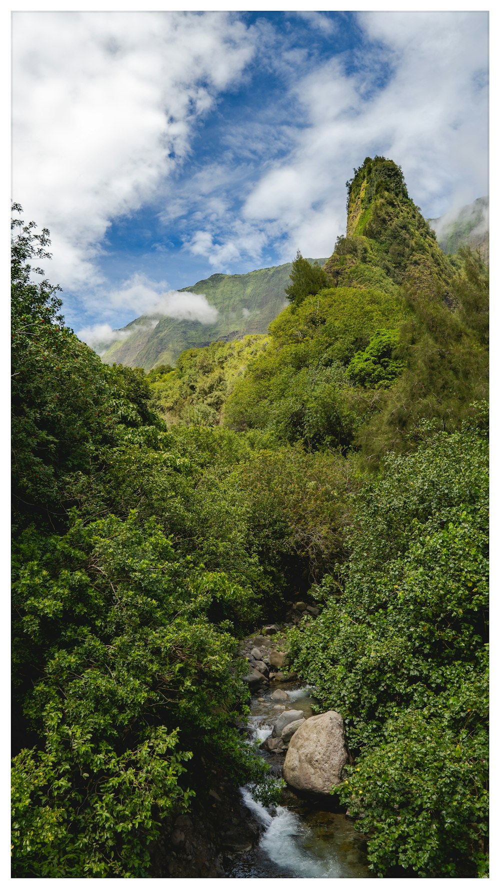 river surrounded with tall and green trees viewing mountain under white and blue sky during daytime