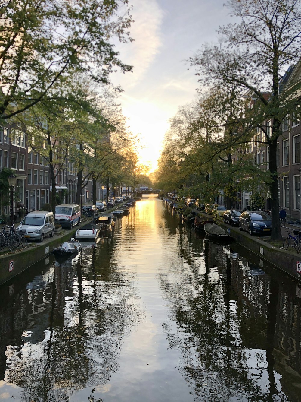 body of water between parked vehicles and trees during daytime