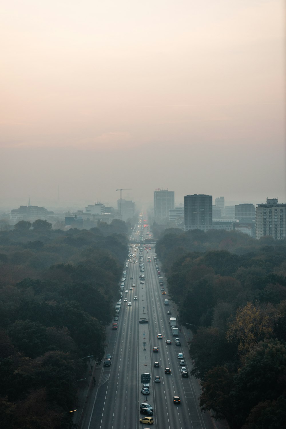 aerial view of vehicles on road