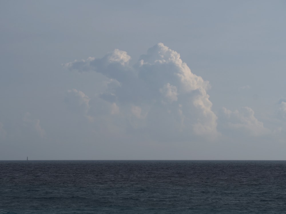 body of water during daytime