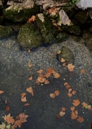 Golden autumn leaves floating on the river surface near a quiet fishing spot.