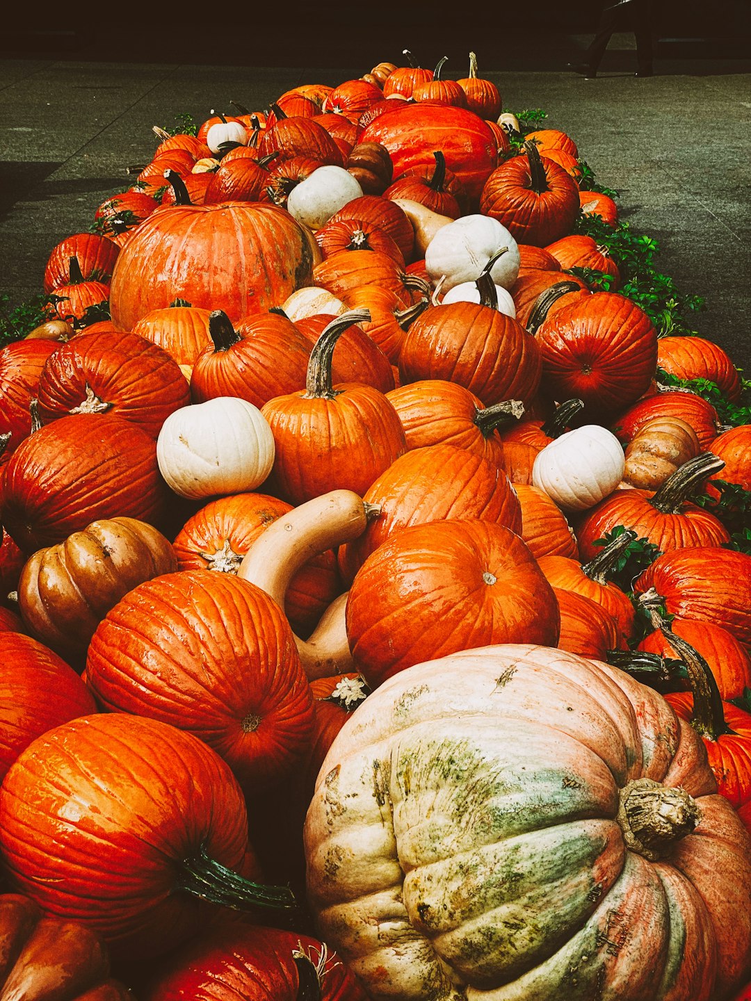 orange and white squash vegetables on floor