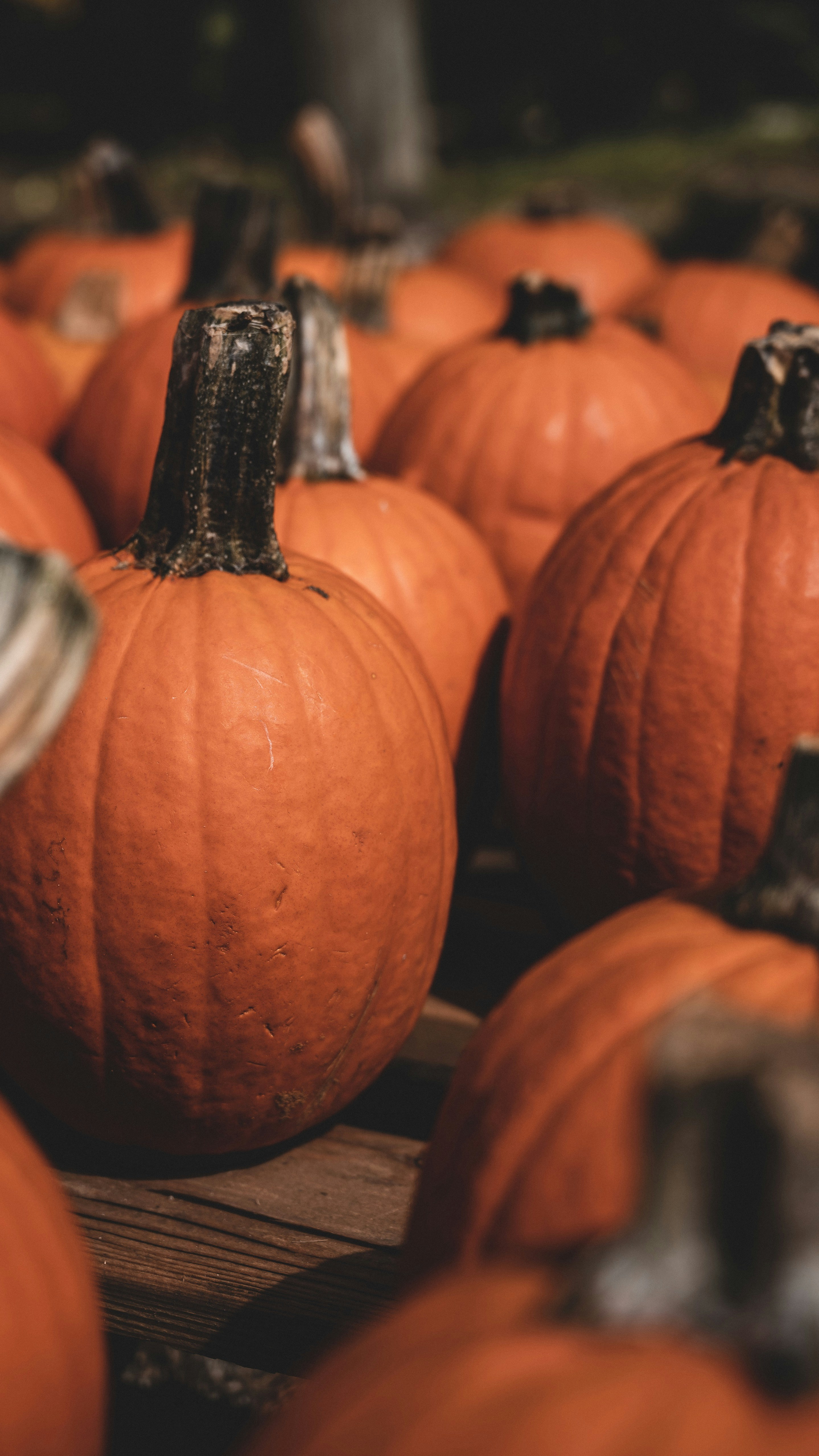 Photo by andyluismdo96