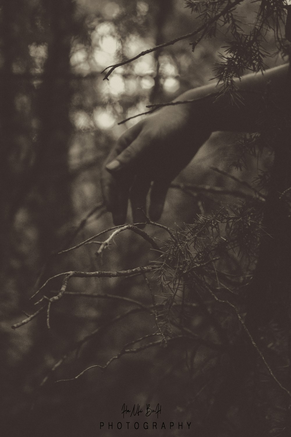 grayscale photography of person's hand beside plant