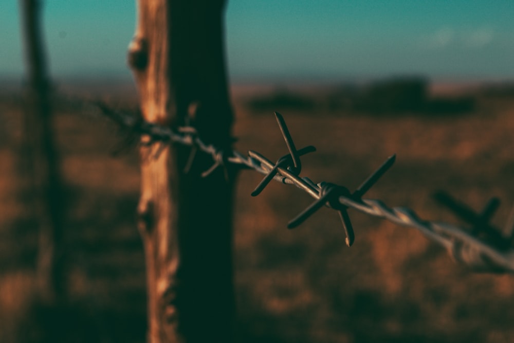posts with barbwire during day