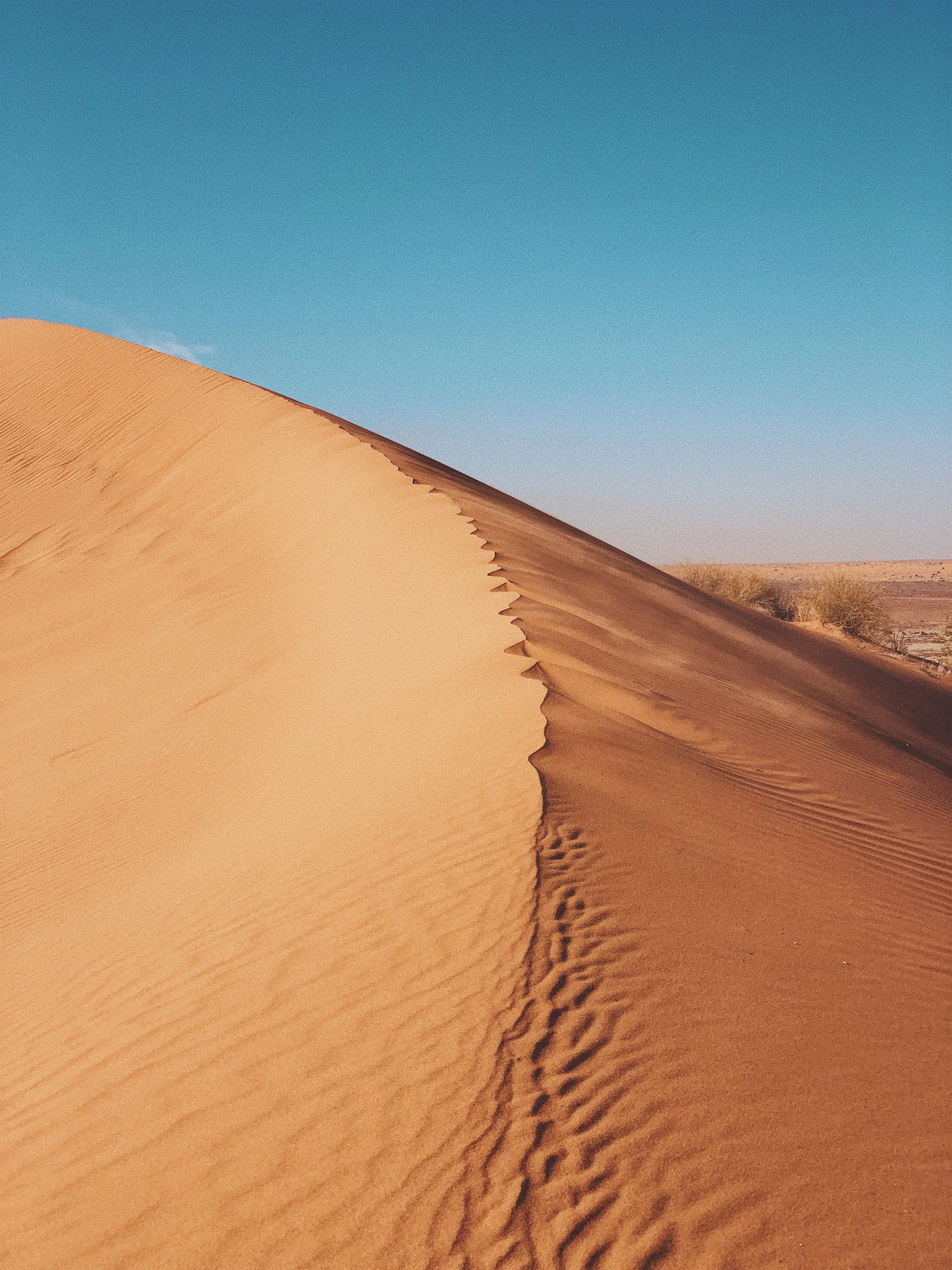 A red sand dune of the Simpson Desert under a clear blue sky