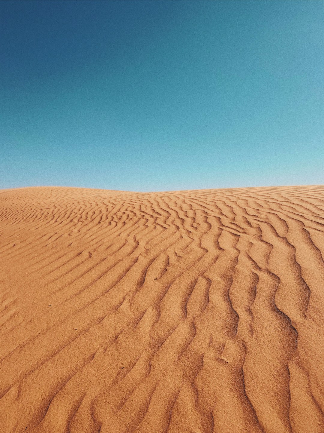desert during daytime