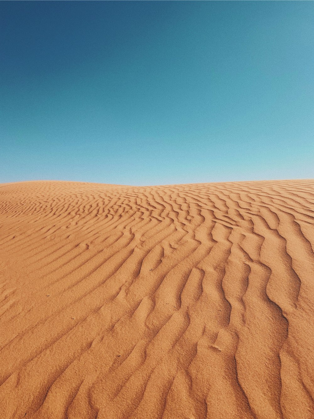 desert during daytime