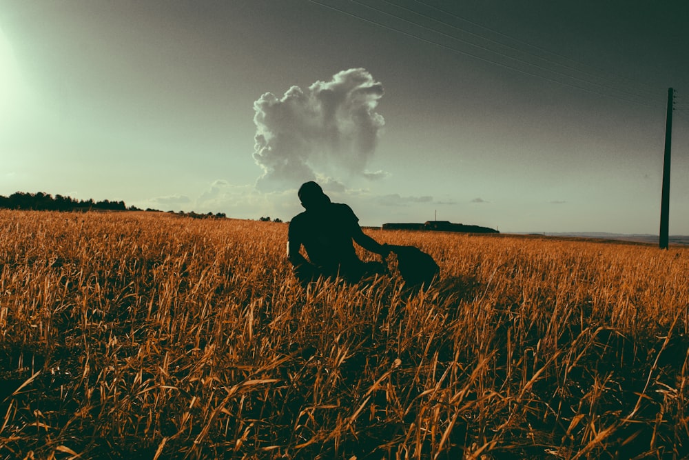 silhouette of man sitting on grass during daytime