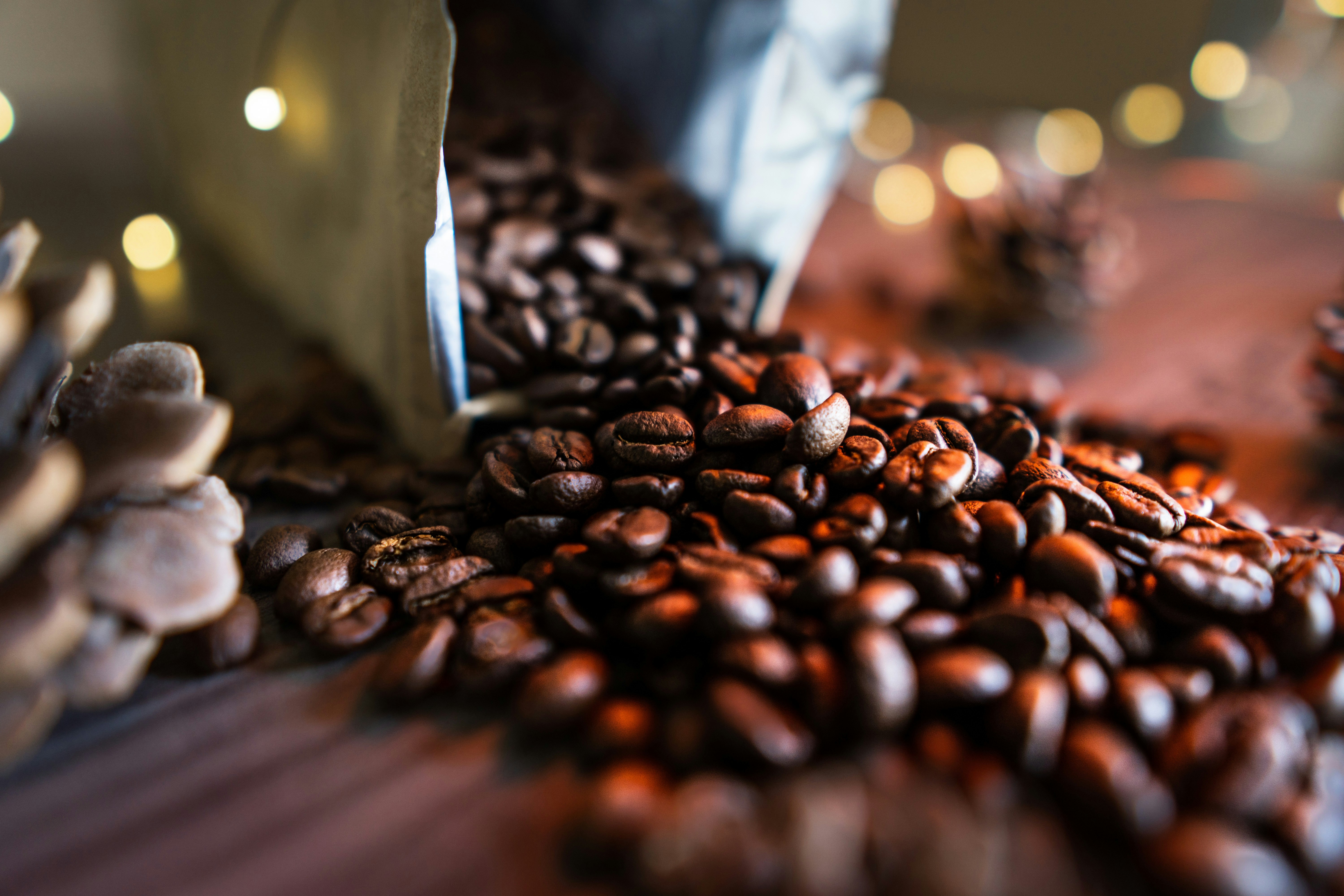 Photo by joemilnefilm