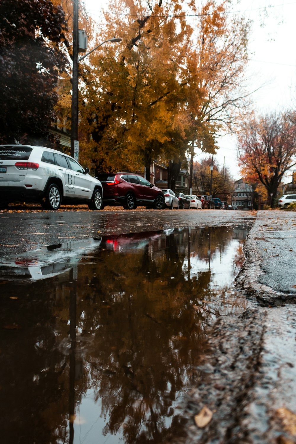 puddle on a cement road