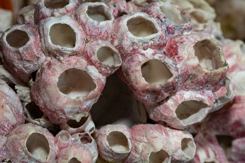 a close up of a bunch of pink rocks