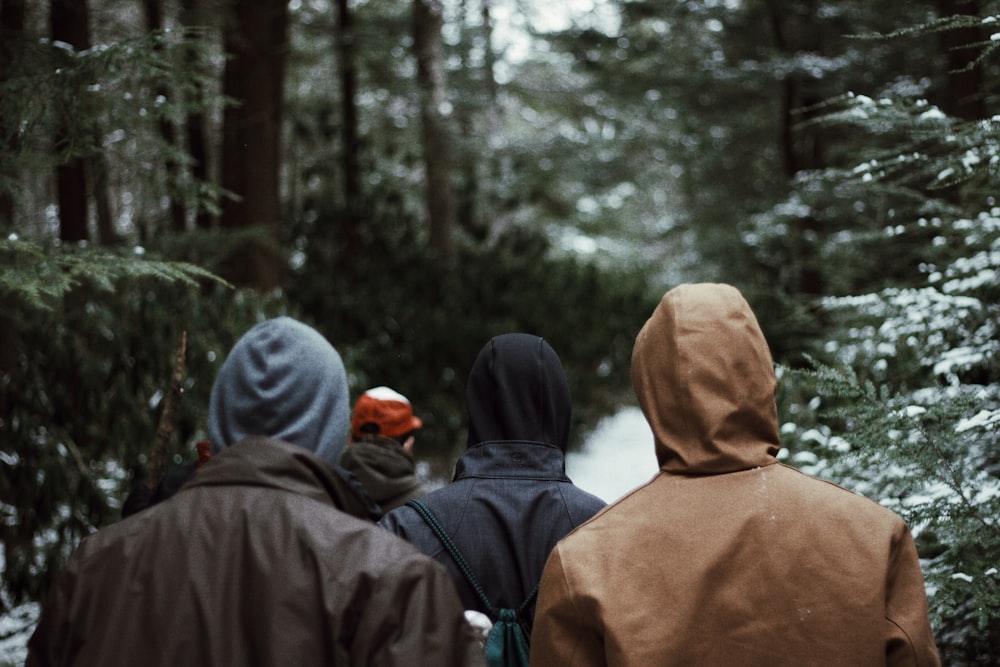 persone che camminano sul sentiero di neve vicino agli alberi durante il giorno
