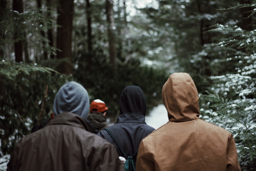 people walking on snow pathway near trees during day