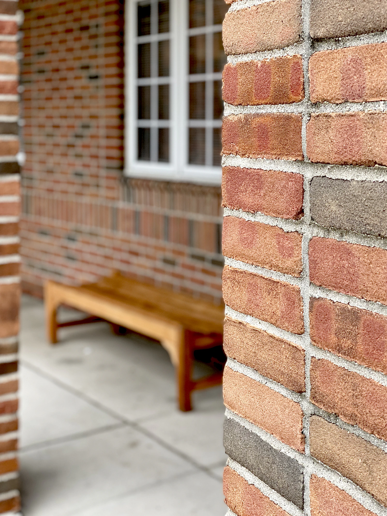 An empty wooden bench seen through a brick passageway, soft afternoon light