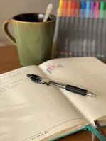 An open notebook with handwritten notes and a pen beside a cup of herbal tea and supplement bottles.