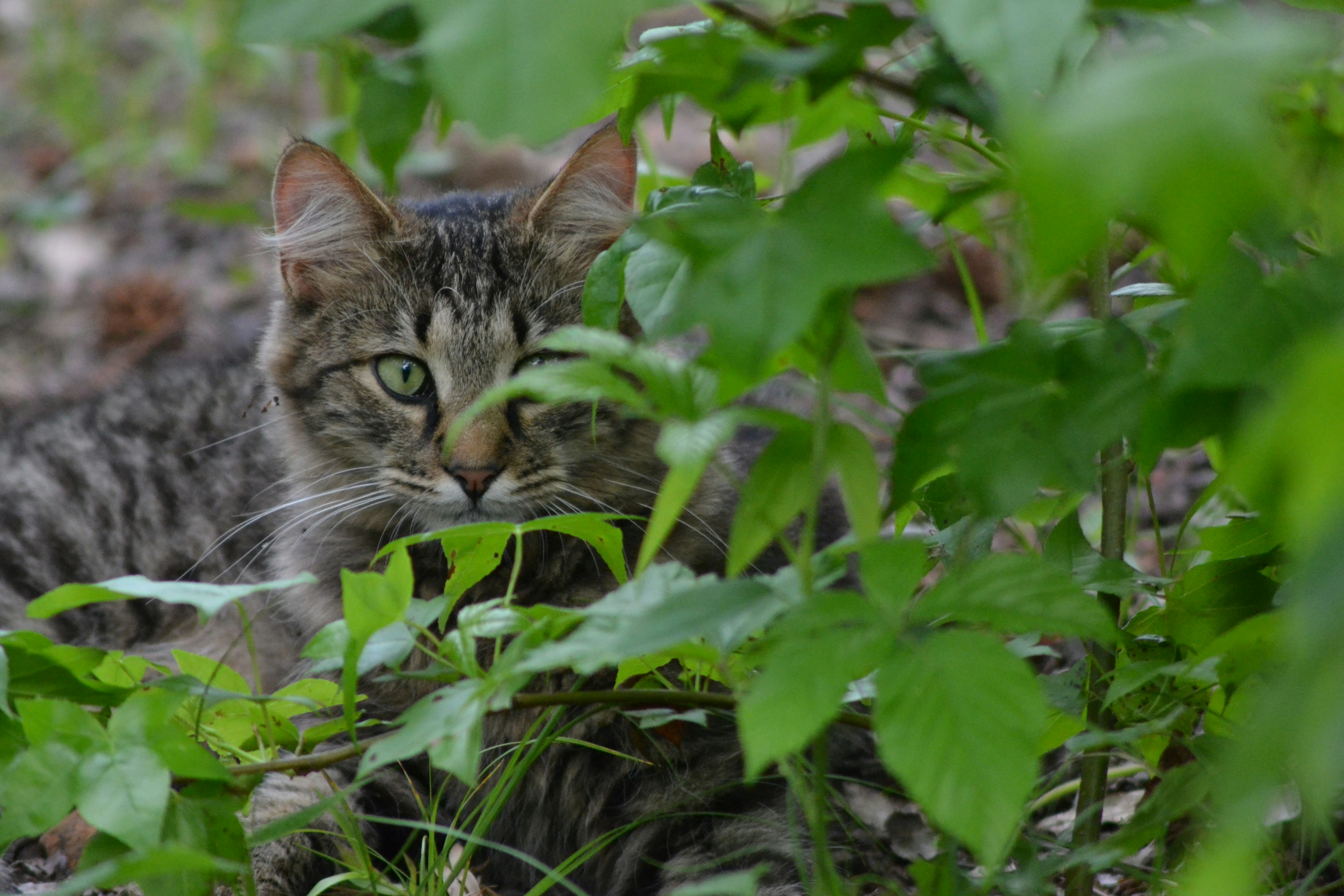 Photo by olivias_studio