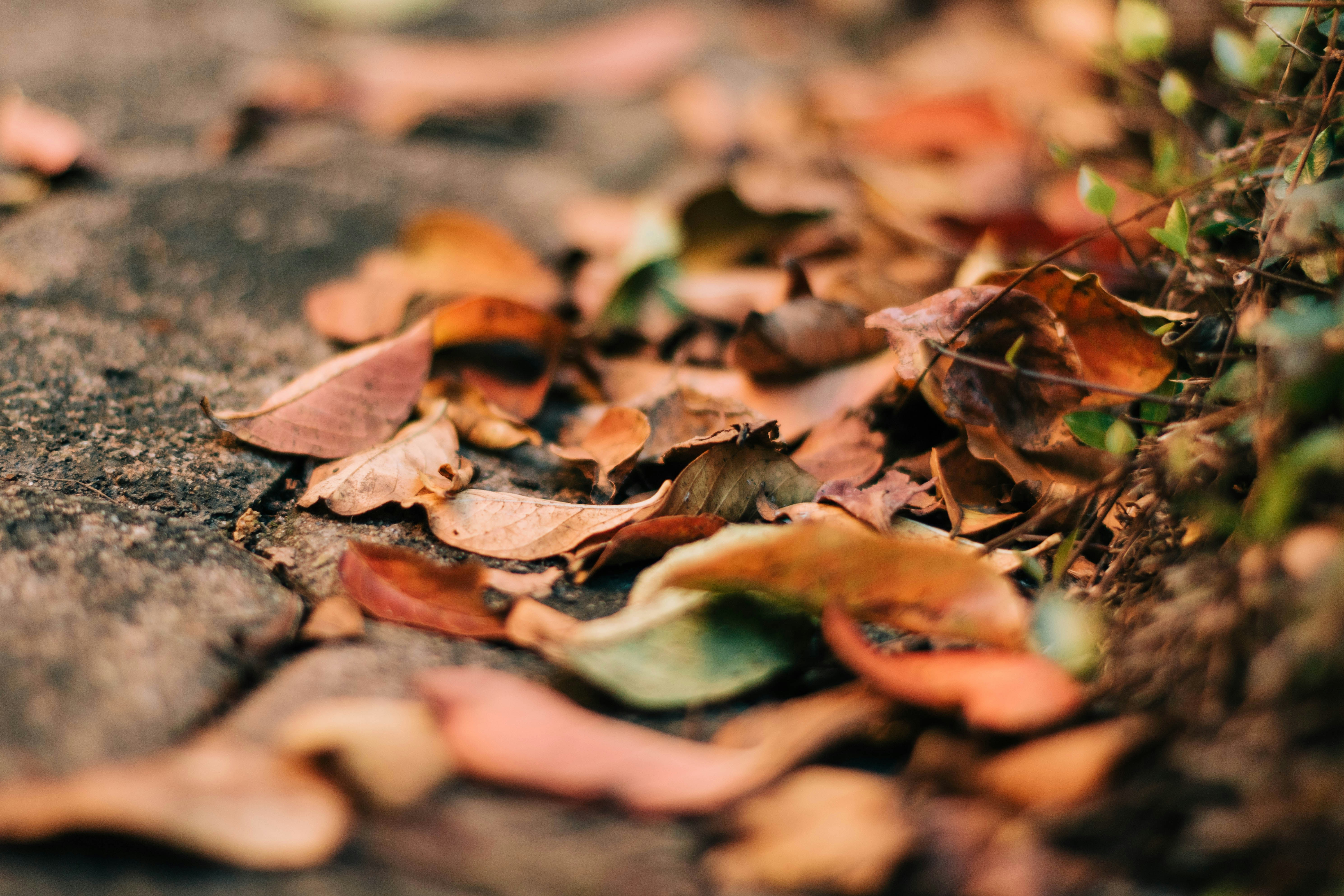 Photo by danielfoster07