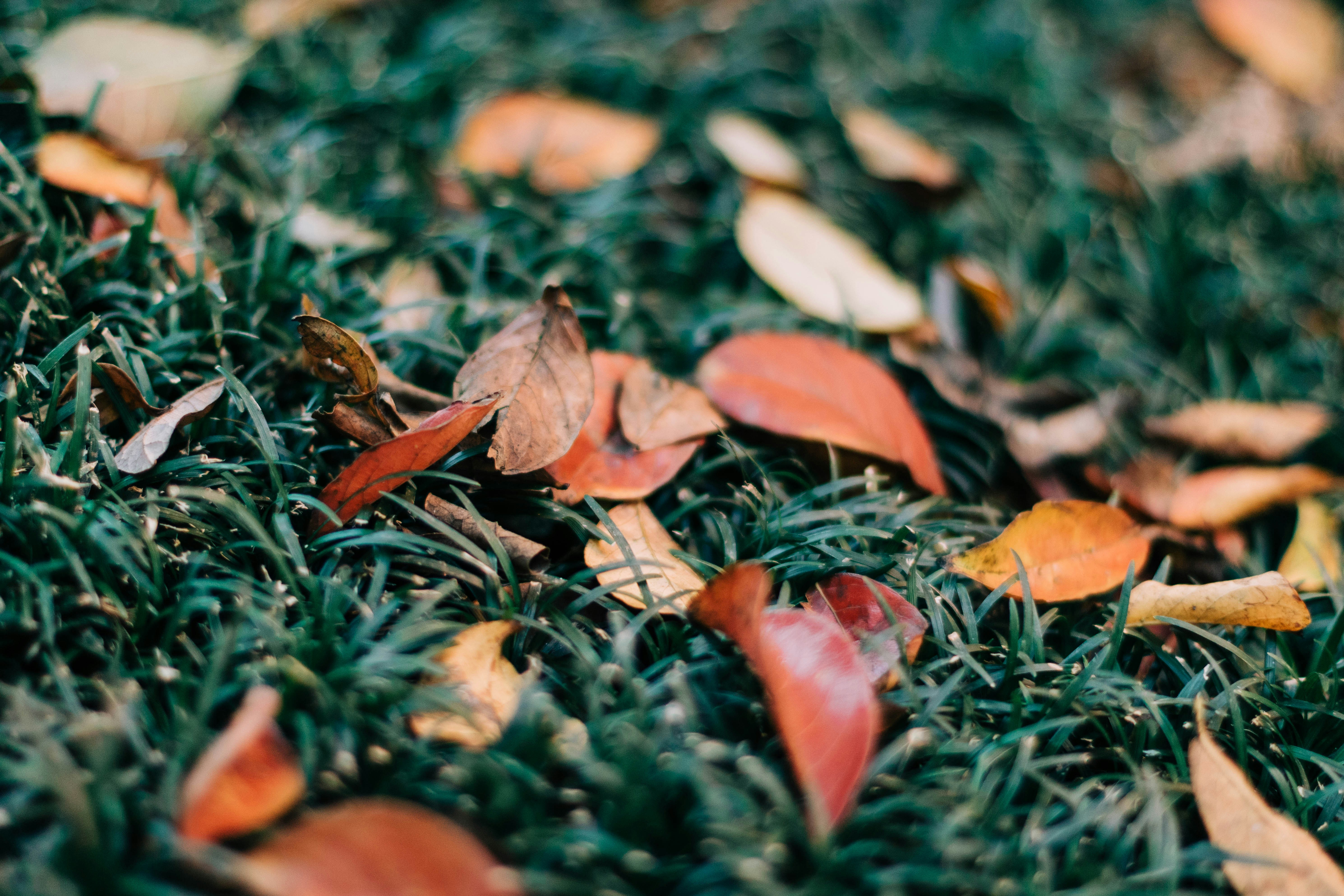 Photo by danielfoster07