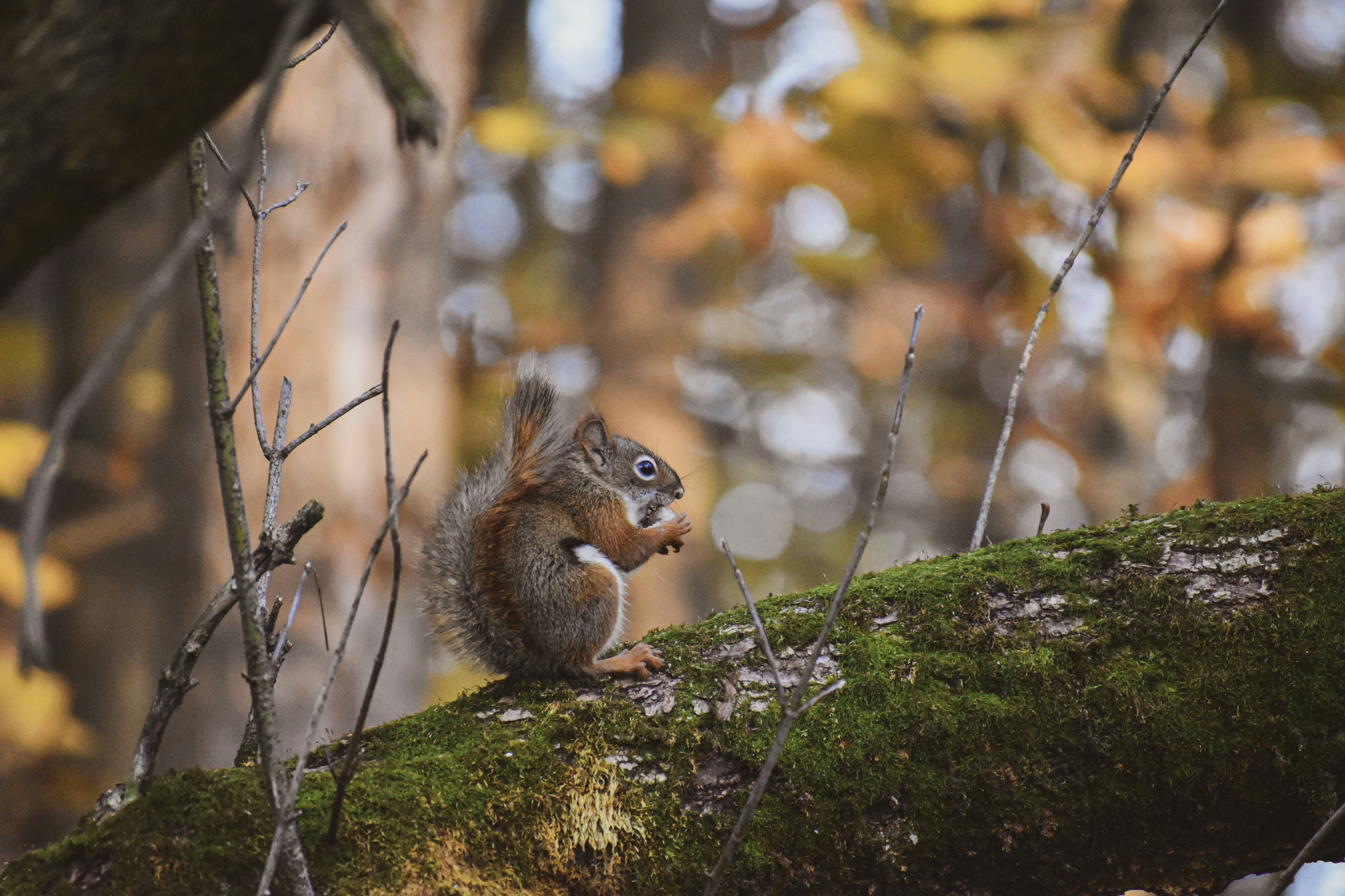 Photo by christopherphigh