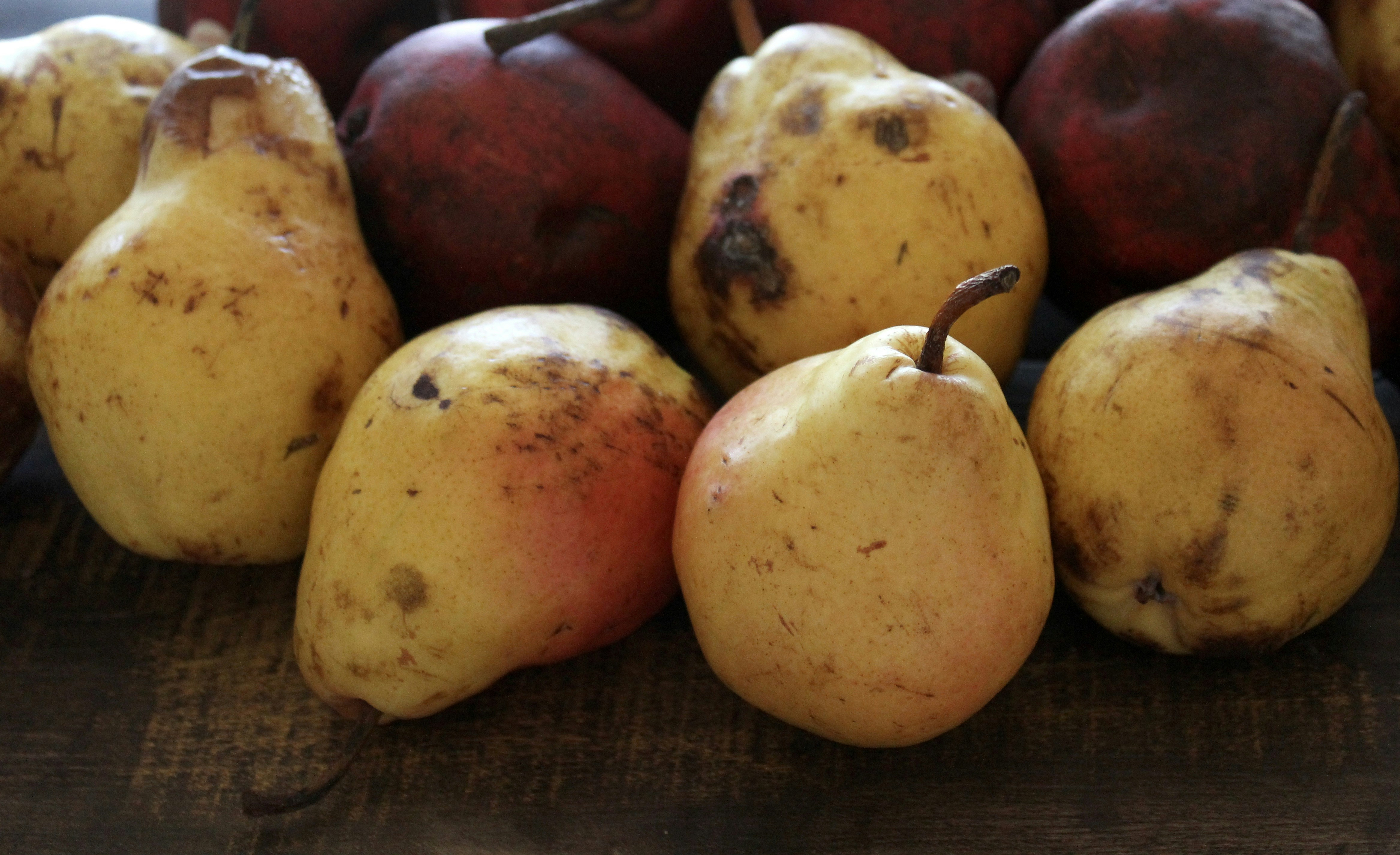 Photo by lostandfound