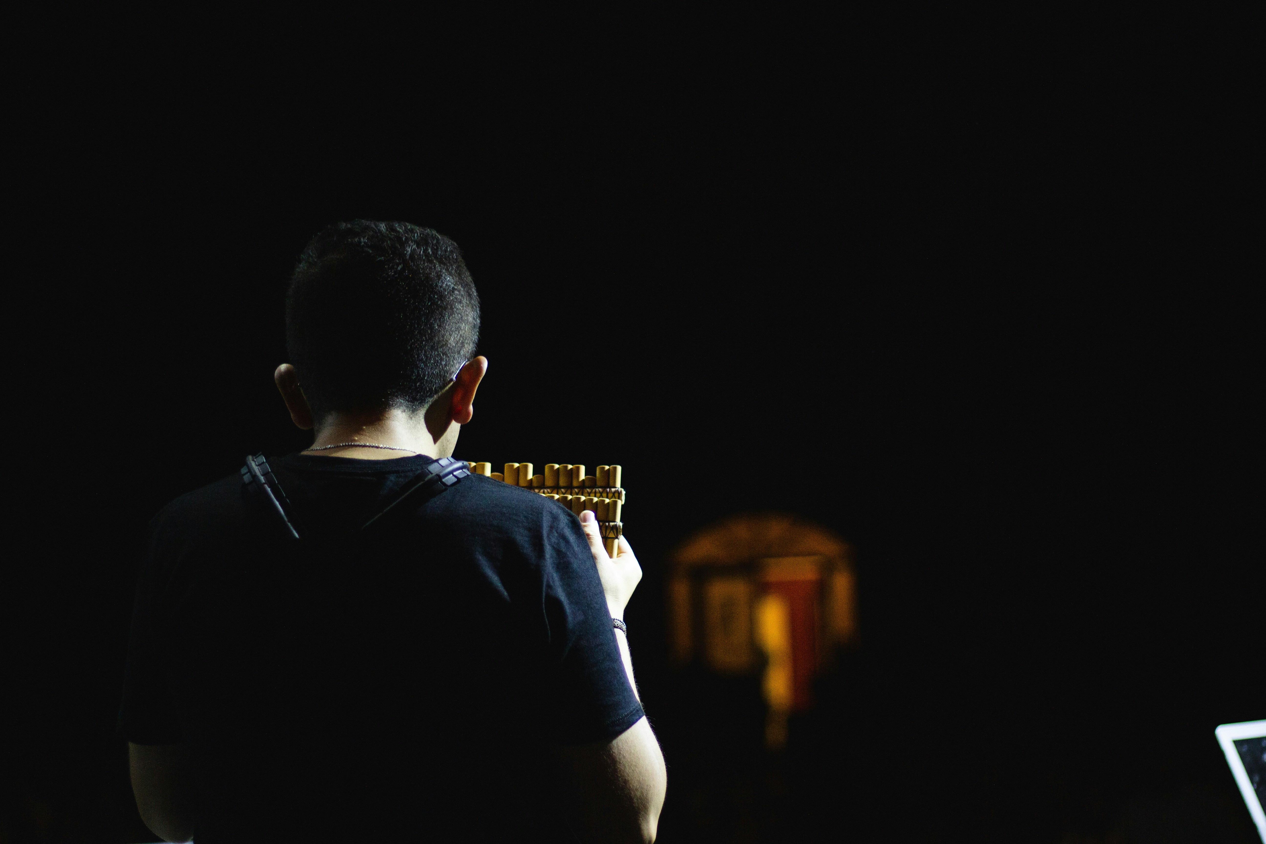 concert, flute, music