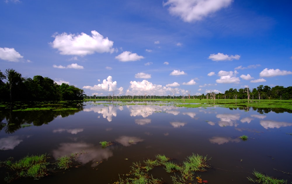 reflection of trees under cloudy sky on body of water