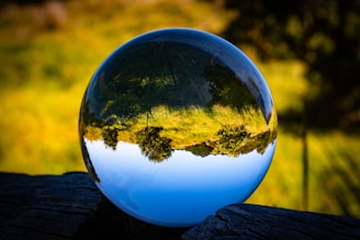 A crystal ball on a wooden surface reflects an upside-down landscape featuring trees and greenery, with a blurred natural background.