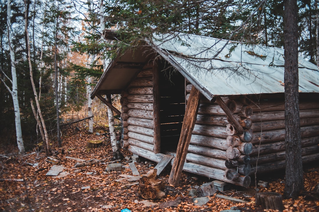 brown wooden house