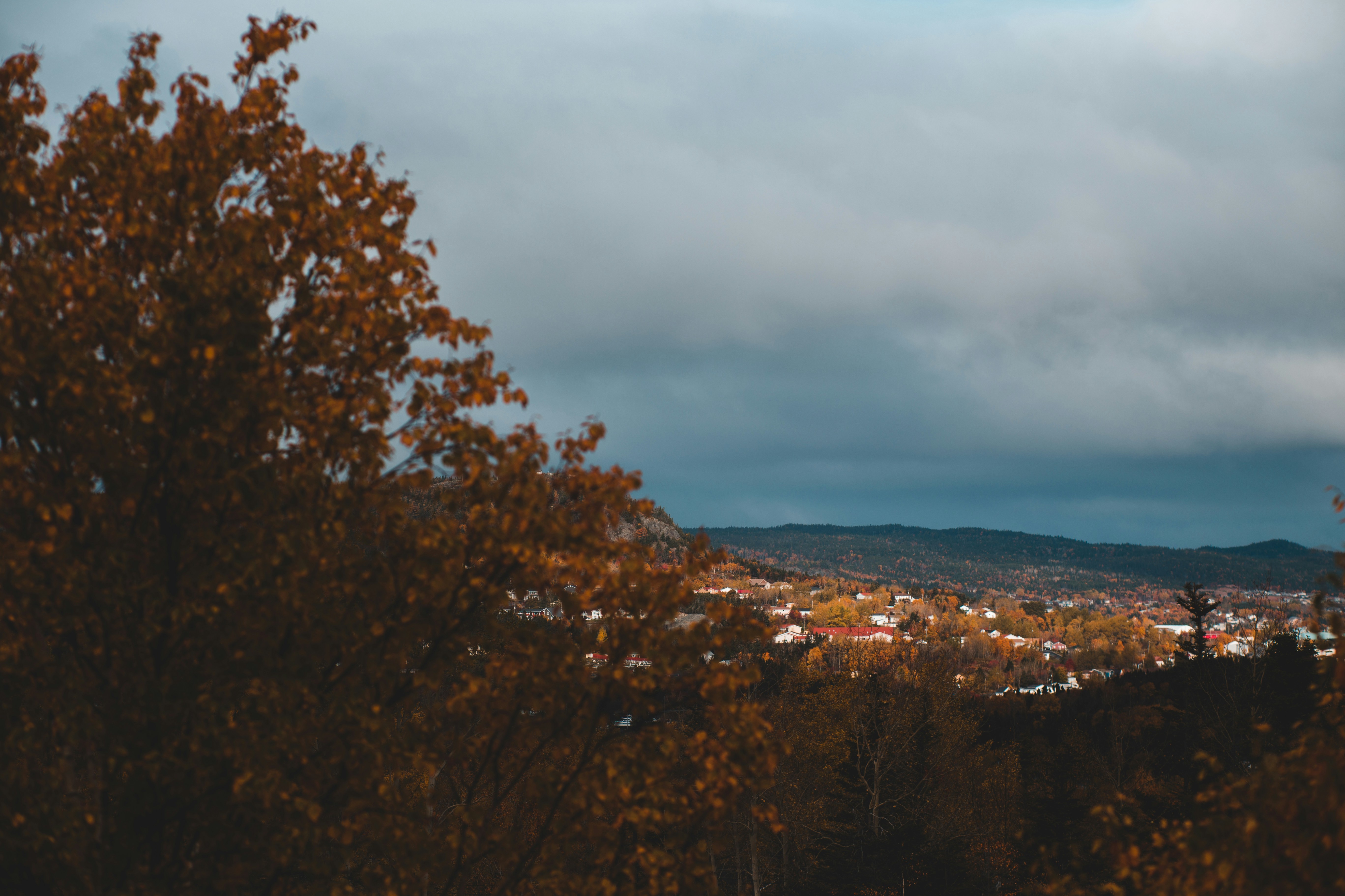 Photo by introspectivedsgn