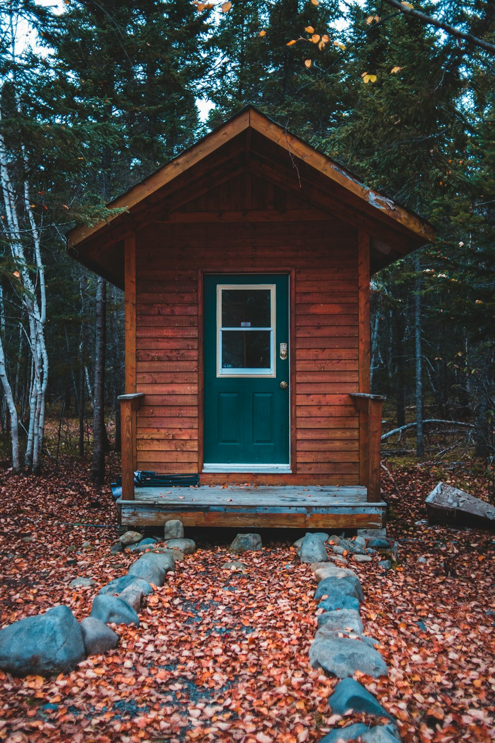 brown cabin in forest