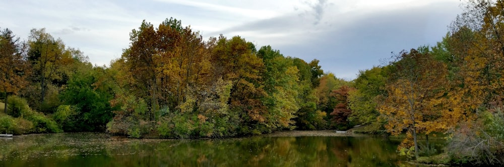 body of water beside trees during daytime