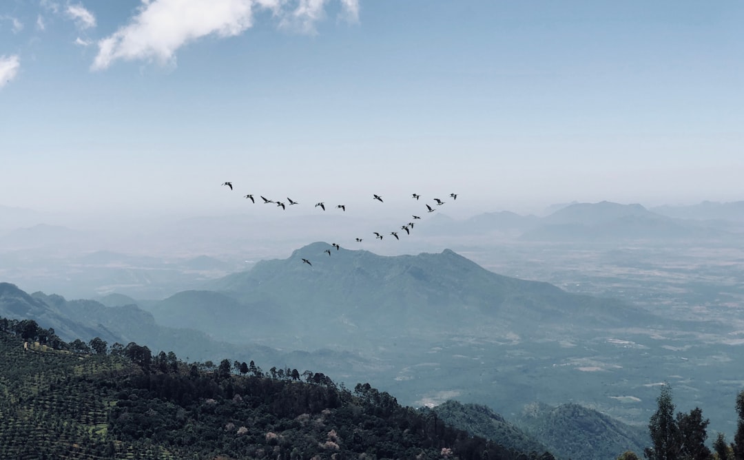 Hill station photo spot Ooty Attappadi Reserve Forest