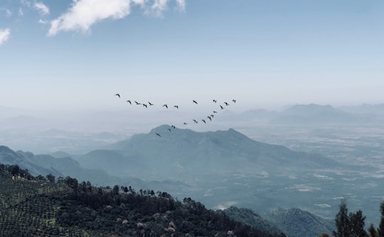 midair birds and mountain scnery in Ooty India