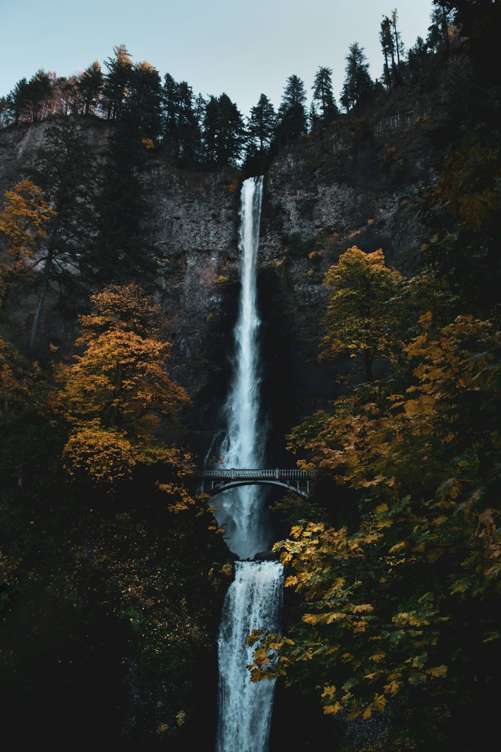 bridge near waterfalls