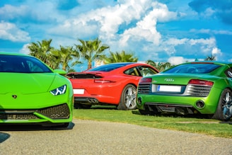 A vibrant display of luxury sports cars parked on a grassy area with palm trees in the background. The cars include a green Lamborghini, a red Porsche, and a green Audi. The sky is bright with fluffy white clouds.