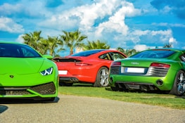 A vibrant display of luxury sports cars parked on a grassy area with palm trees in the background. The cars include a green Lamborghini, a red Porsche, and a green Audi. The sky is bright with fluffy white clouds.