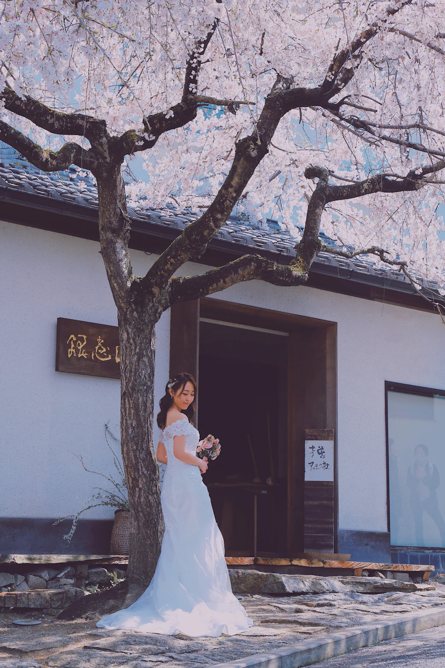 A bride in a white dress under a cherry tree in Japan