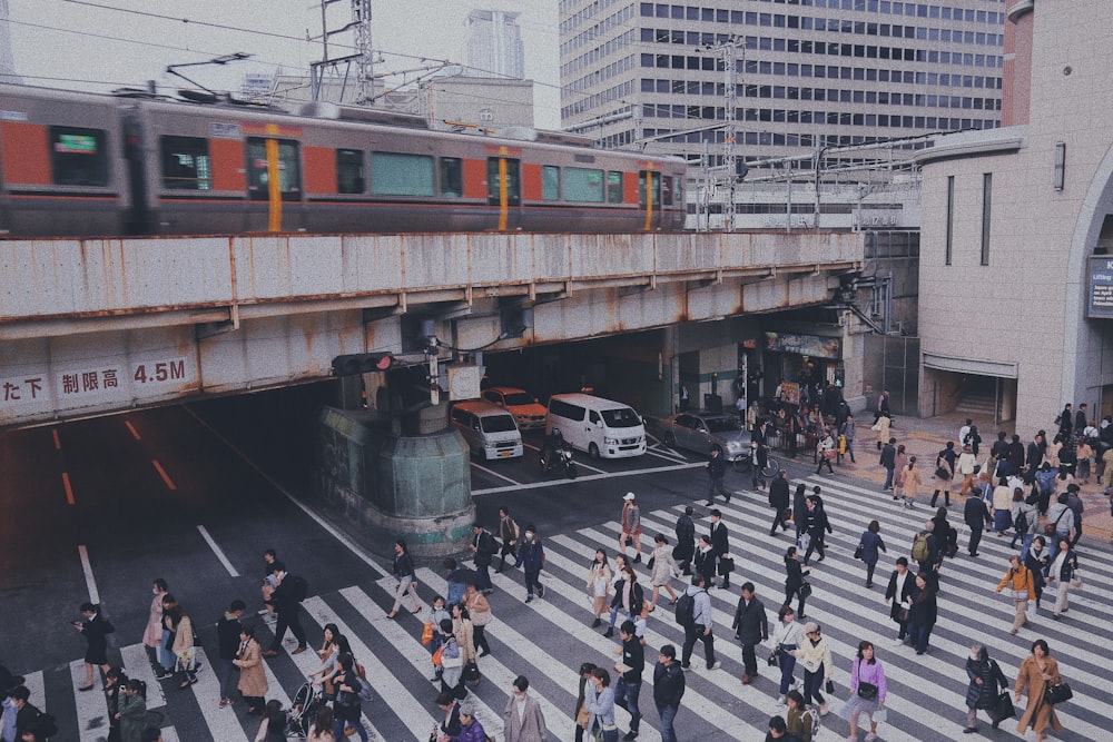 persons crossing on pedestrian lane